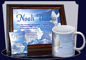 PC-AN13, Name Meaning Card, Wallet Sized, with Bible Verse noah dove peace