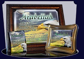 PC-AN23, Name Meaning Card, Wallet Sized, with Bible Verse bird arabellah bald eagle