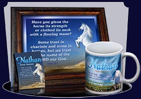 PC-AN26, Name Meaning Card, Wallet Sized, with Bible Verse Nathan white horse