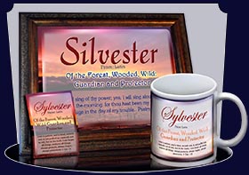 PC-SS03, Name Meaning Card, Wallet Sized, with Bible Verse, personalized, sunset, sylvester, simple