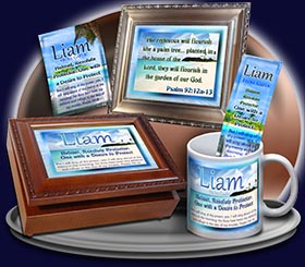 PC-WA06, Name Meaning Card, Wallet Sized, with Bible Verse, personalized, Liam ocean beach vacation palm trees sand