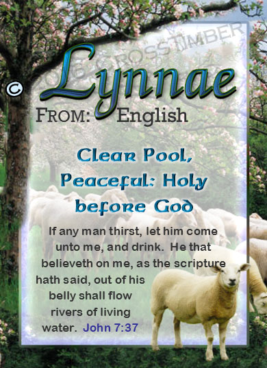 PC-AN01, Name Meaning Card, Wallet Sized, with Bible Verse sheep flock lambs shepherd lynnae
