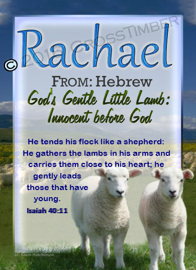 PC-AN04, Name Meaning Card, Wallet Sized, with Bible Verse Rachel Rachael sheep lambs flock shepherd