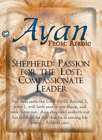 PC-AN05, Name Meaning Card, Wallet Sized, with Bible Verse Ayan Lion Lioness, pride african