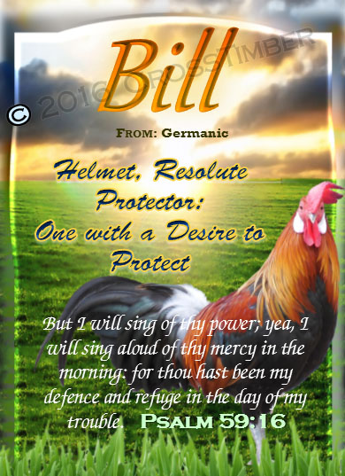 PC-AN19, Name Meaning Card with a Rooster, Wallet Sized card with Bible Verse