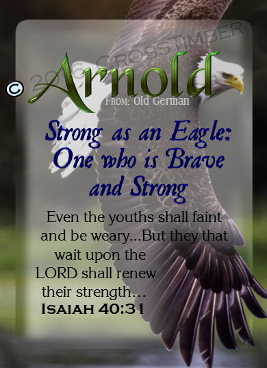 PC-AN20, Name Meaning Card, Wallet Sized, with Bible Verse Arnold bald eagle fly