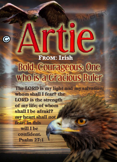 PC-AN24, Name Meaning Card, Wallet Sized, with Bible Verse bird golden eagle hawk Artie