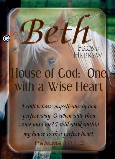 PC-AN31, Name Meaning Card, Wallet Sized, with Bible Verse Beth horses