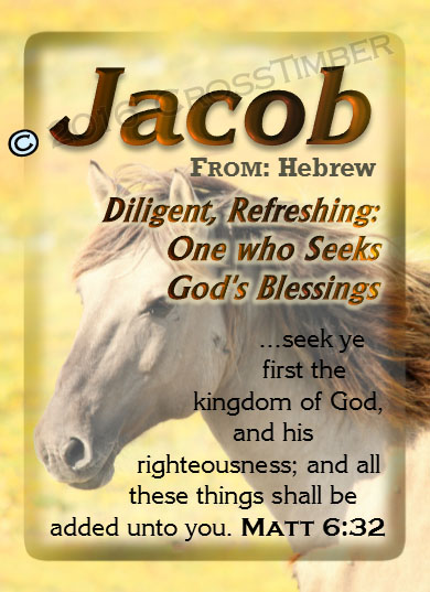 PC-AN48, Name Meaning Card, Wallet Sized, with Bible Verse jacob brown horse houses