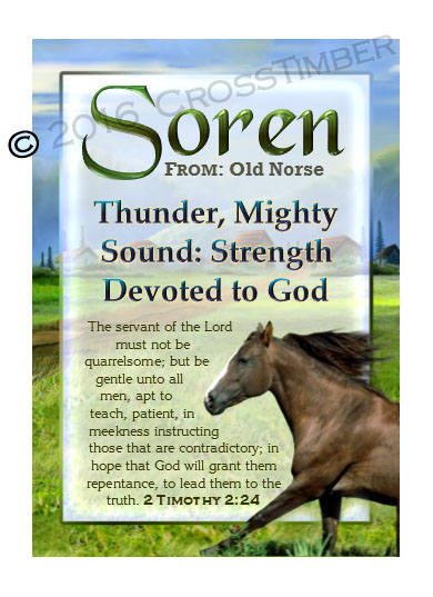 PC-AN49, Name Meaning Card, Wallet Sized, with Bible Verse soren brown horse house