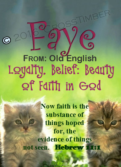 PC-AN51, Name Meaning Card, Wallet Sized, with Bible Verse faye cute fuzzy kittens cats