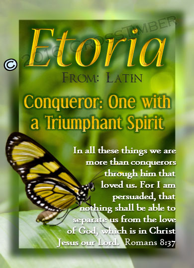 PC-BF06, Name Meaning Card, Wallet Sized, with Bible Verse butterfly  etoria