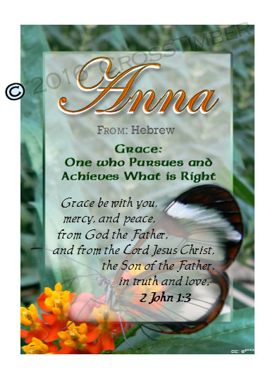 PC-BF13, Name Meaning Card, Wallet Sized, with Bible Verse butterfly  green garden Anna