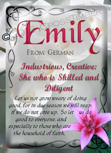 PC-FL09, Name Meaning Card, Wallet Sized, with Bible Verse, personalized, flower, emily pink lily