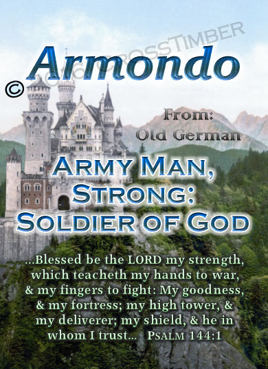 PC-SC35, Name Meaning Card, Wallet Sized, with Bible Verse, personalized, armondo, castle
