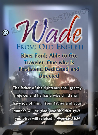 PC-SM15, Name Meaning Card, Wallet Sized, with Bible Verse, personalized, baby name, rainbow, wade