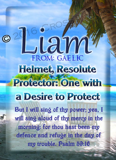 PC-WA06, Name Meaning Card, Wallet Sized, with Bible Verse, personalized, Liam ocean beach vacation palm trees sand