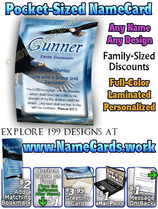 PC-AN38, Name Meaning Card, Wallet Sized, with Bible Verse gunner bald eagle bird