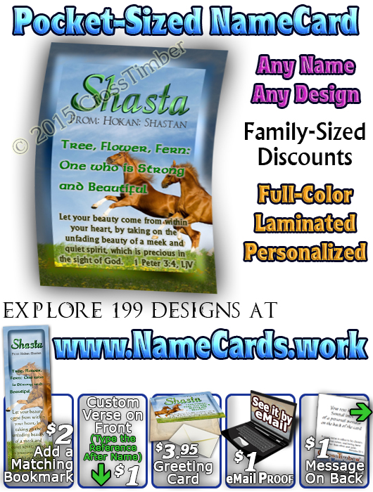 PC-AN42, Name Meaning Card, Wallet Sized, with Bible Verse Playful Horses happy joyful Shasta brown
