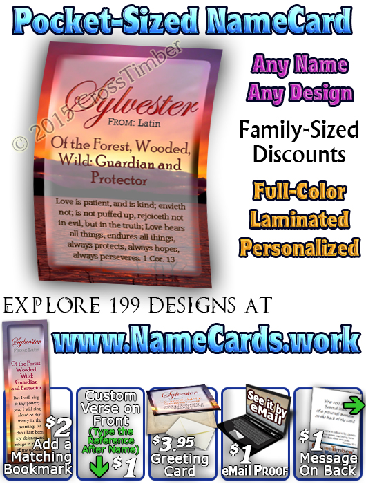 PC-SS03, Name Meaning Card, Wallet Sized, with Bible Verse, personalized, sunset, sylvester, simple