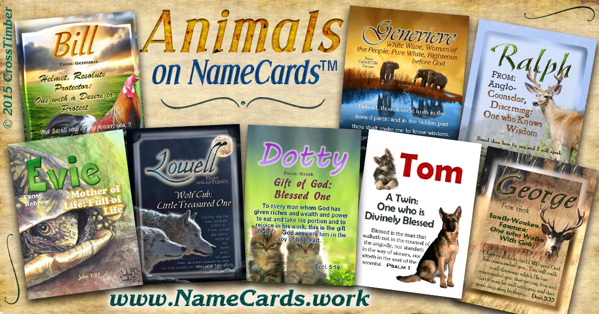 Name meaning cards with cute animals; kittens, elephants, dogs, turtles